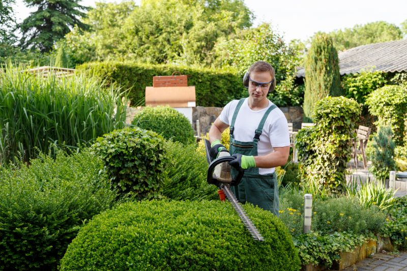 Professional Trimming and Edging