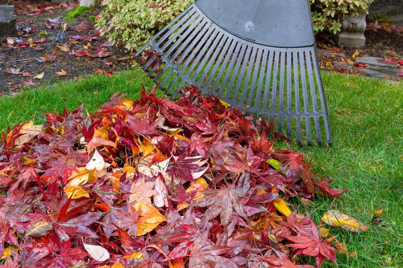 Lawn Mulching and Raking