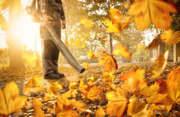 Leaf Blowing Service in Gaithersburg