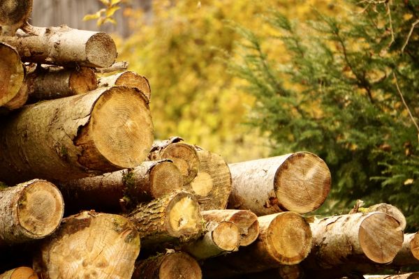Wood Pile Removal in Gaithersburg