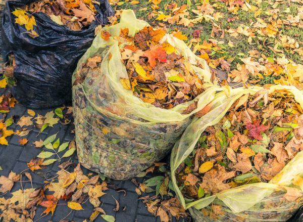 Yard Cleanup Service in Gaithersburg