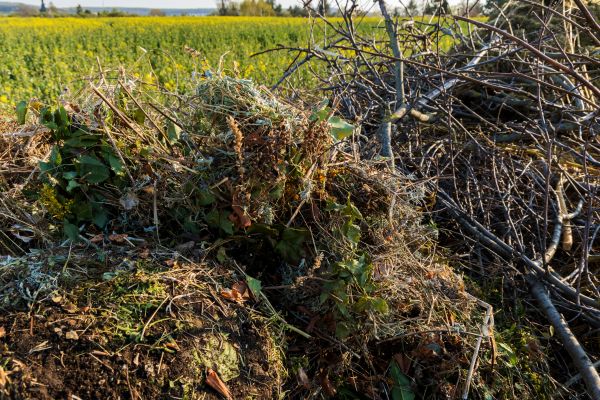 Brush Disposal in Gaithersburg