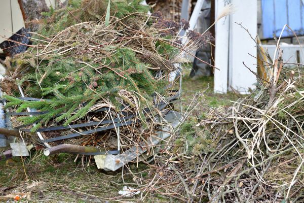 Yard Waste Removal Service in Gaithersburg