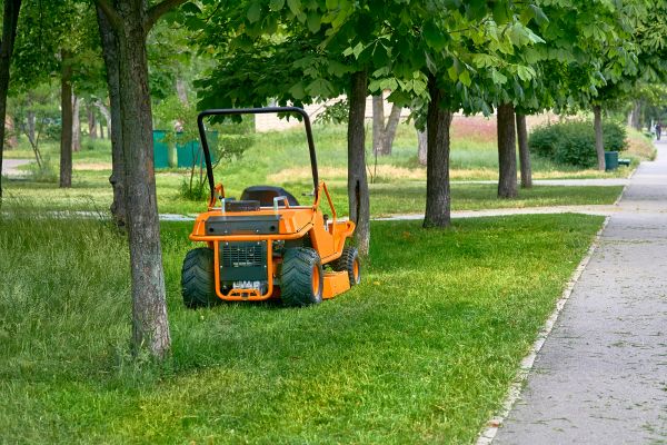Landscaping Cleanup Service in Gaithersburg