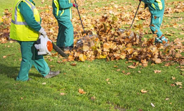 Cost of Leaf Maintenance in Gaithersburg