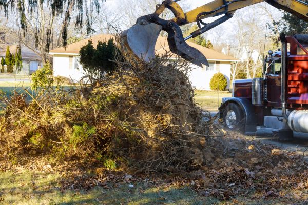 Storm Debris Removal in Gaithersburg
