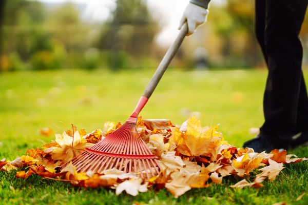 Cost of Ditch Leaf Removal in Gaithersburg