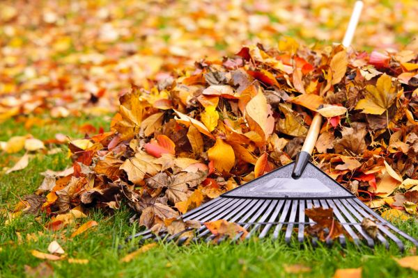 Yard Leaf Removal in Gaithersburg