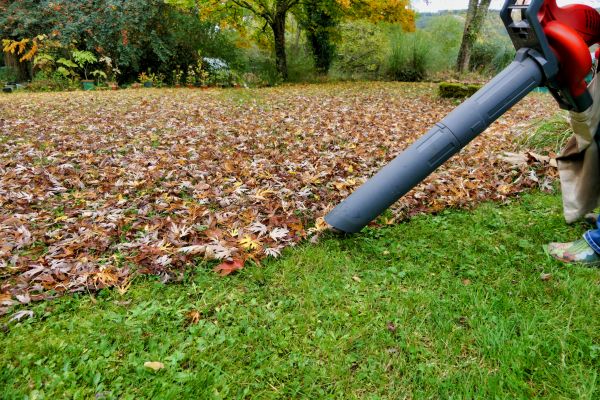 Cost of Leaves Vacuuming in Gaithersburg