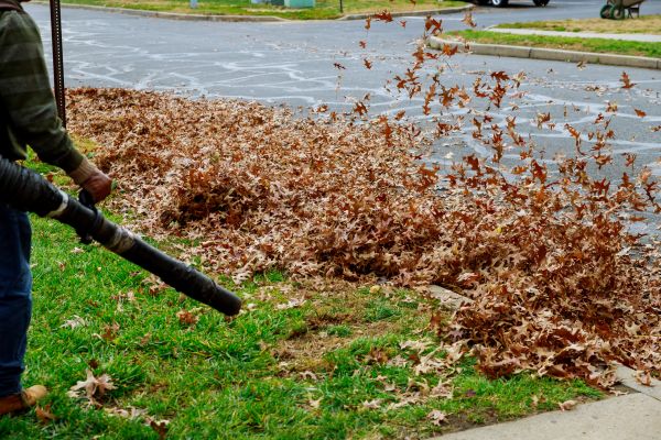 Cost of Garden Leaf Removal in Gaithersburg