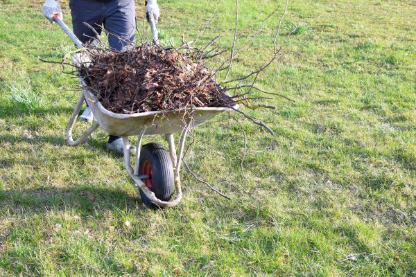 Yard Brush Removal in Gaithersburg