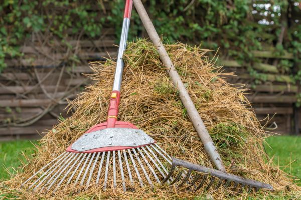 Cost of Pine Straw Clearing in Gaithersburg