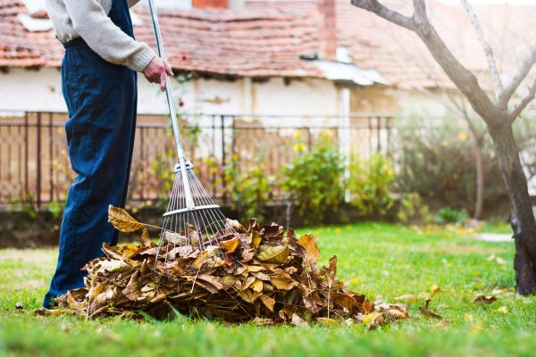 Spring Lawn Cleanup in Gaithersburg