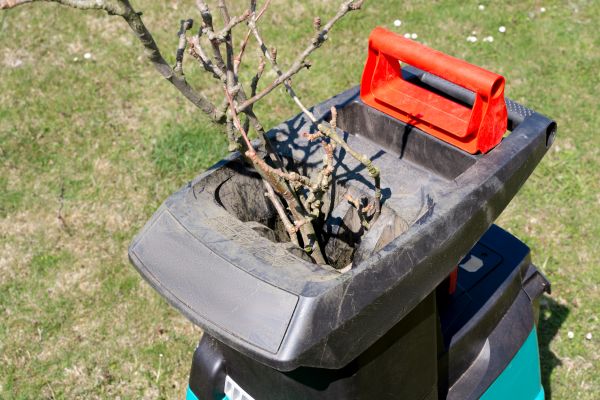 Cost of Brush Cleanup Service in Gaithersburg