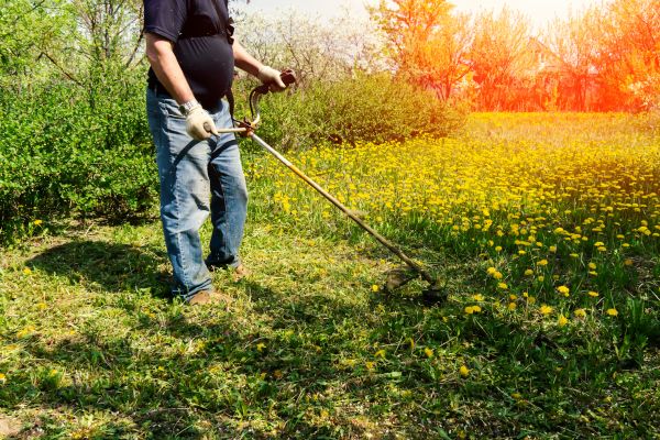 Cost of Yard Clearing Service in Gaithersburg