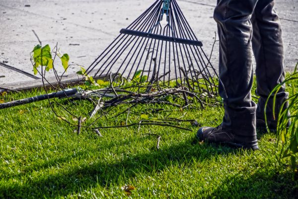 Yard Debris Cleanup in Gaithersburg