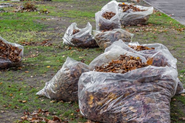 Cost of Leaf Pile Disposal in Gaithersburg