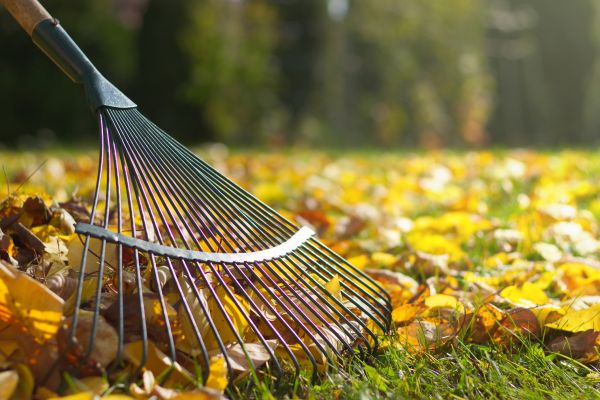 Leaf Removal in Gaithersburg